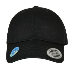 Ecowash Dad Cap