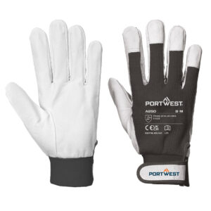 Tergsus Handschuh